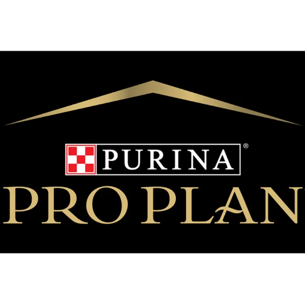 Pro Plan